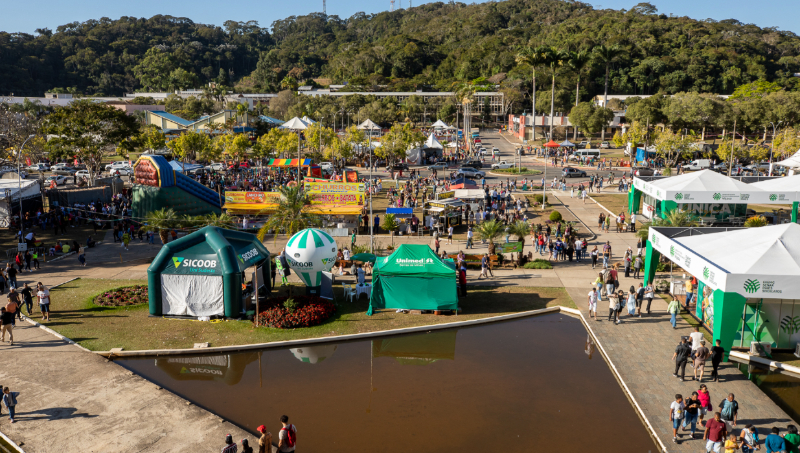 Captura de Tela 2025-05-06 às 10.11.00